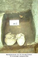 Cronica Cercetărilor Arheologice din România, Campania 2003. Raportul nr. 147