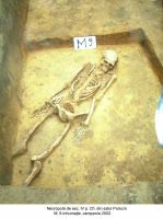 Cronica Cercetărilor Arheologice din România, Campania 2003. Raportul nr. 147