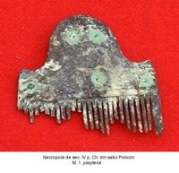 Cronica Cercetărilor Arheologice din România, Campania 2003. Raportul nr. 147