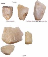 Cronica Cercetărilor Arheologice din România, Campania 2003. Raportul nr. 149