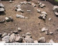 Cronica Cercetărilor Arheologice din România, Campania 2003. Raportul nr. 160