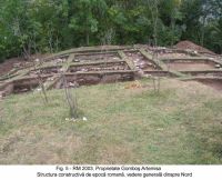 Cronica Cercetărilor Arheologice din România, Campania 2003. Raportul nr. 160