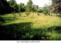 Cronica Cercetărilor Arheologice din România, Campania 2003. Raportul nr. 161.<br /> Sectorul MNUAI.
