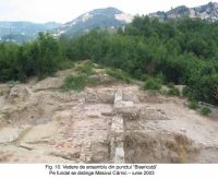 Cronica Cercetărilor Arheologice din România, Campania 2003. Raportul nr. 163