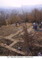 Cronica Cercetărilor Arheologice din România, Campania 2003. Raportul nr. 163