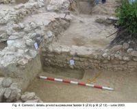 Cronica Cercetărilor Arheologice din România, Campania 2003. Raportul nr. 163