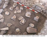 Cronica Cercetărilor Arheologice din România, Campania 2003. Raportul nr. 163