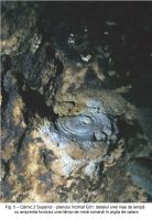Cronica Cercetărilor Arheologice din România, Campania 2003. Raportul nr. 164