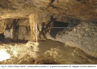 Cronica Cercetărilor Arheologice din România, Campania 2003. Raportul nr. 164