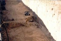 Cronica Cercetărilor Arheologice din România, Campania 2003. Raportul nr. 167