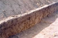 Cronica Cercetărilor Arheologice din România, Campania 2003. Raportul nr. 167