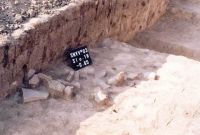 Cronica Cercetărilor Arheologice din România, Campania 2003. Raportul nr. 167