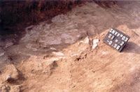 Cronica Cercetărilor Arheologice din România, Campania 2003. Raportul nr. 167
