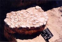 Cronica Cercetărilor Arheologice din România, Campania 2003. Raportul nr. 167