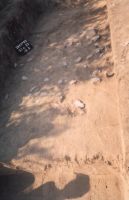 Cronica Cercetărilor Arheologice din România, Campania 2003. Raportul nr. 167