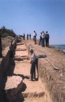 Cronica Cercetărilor Arheologice din România, Campania 2003. Raportul nr. 167