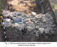 Cronica Cercetărilor Arheologice din România, Campania 2003. Raportul nr. 172