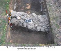 Cronica Cercetărilor Arheologice din România, Campania 2003. Raportul nr. 172