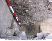 Cronica Cercetărilor Arheologice din România, Campania 2003. Raportul nr. 172