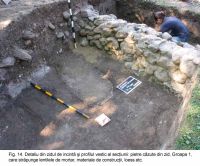 Cronica Cercetărilor Arheologice din România, Campania 2003. Raportul nr. 172