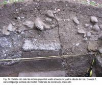 Cronica Cercetărilor Arheologice din România, Campania 2003. Raportul nr. 172