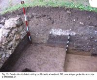 Cronica Cercetărilor Arheologice din România, Campania 2003. Raportul nr. 172