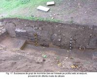 Cronica Cercetărilor Arheologice din România, Campania 2003. Raportul nr. 172