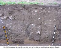 Cronica Cercetărilor Arheologice din România, Campania 2003. Raportul nr. 172