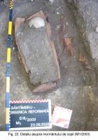 Cronica Cercetărilor Arheologice din România, Campania 2003. Raportul nr. 172