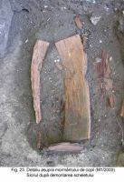 Cronica Cercetărilor Arheologice din România, Campania 2003. Raportul nr. 172