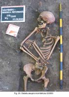 Cronica Cercetărilor Arheologice din România, Campania 2003. Raportul nr. 172