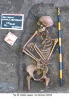 Cronica Cercetărilor Arheologice din România, Campania 2003. Raportul nr. 172