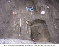 Cronica Cercetărilor Arheologice din România, Campania 2003. Raportul nr. 172