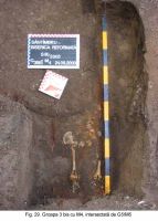 Cronica Cercetărilor Arheologice din România, Campania 2003. Raportul nr. 172