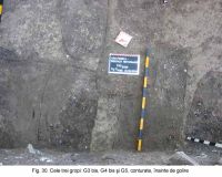 Cronica Cercetărilor Arheologice din România, Campania 2003. Raportul nr. 172