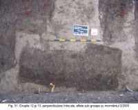 Cronica Cercetărilor Arheologice din România, Campania 2003. Raportul nr. 172