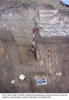 Cronica Cercetărilor Arheologice din România, Campania 2003. Raportul nr. 172