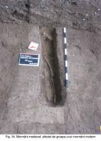 Cronica Cercetărilor Arheologice din România, Campania 2003. Raportul nr. 172