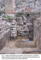 Cronica Cercetărilor Arheologice din România, Campania 2003. Raportul nr. 172