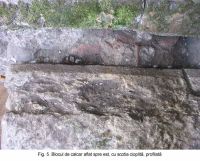 Cronica Cercetărilor Arheologice din România, Campania 2003. Raportul nr. 172