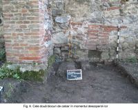 Cronica Cercetărilor Arheologice din România, Campania 2003. Raportul nr. 172