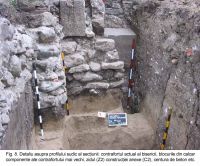 Cronica Cercetărilor Arheologice din România, Campania 2003. Raportul nr. 172