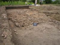 Cronica Cercetărilor Arheologice din România, Campania 2003. Raportul nr. 173