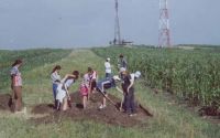 Cronica Cercetărilor Arheologice din România, Campania 2003. Raportul nr. 177