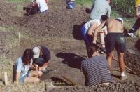 Cronica Cercetărilor Arheologice din România, Campania 2003. Raportul nr. 177