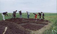 Cronica Cercetărilor Arheologice din România, Campania 2003. Raportul nr. 177