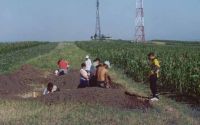 Cronica Cercetărilor Arheologice din România, Campania 2003. Raportul nr. 177