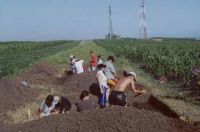 Cronica Cercetărilor Arheologice din România, Campania 2003. Raportul nr. 177