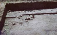 Cronica Cercetărilor Arheologice din România, Campania 2003. Raportul nr. 177