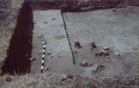 Cronica Cercetărilor Arheologice din România, Campania 2003. Raportul nr. 177